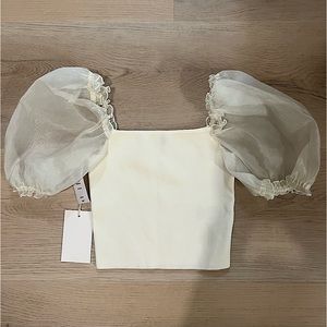 Aritzia Sheer Sleeve Top